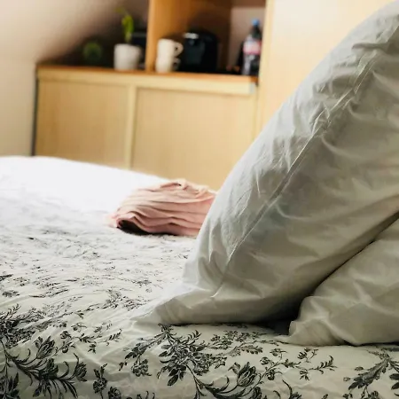 게스트하우스 Etage Dans Notre Mancelle
